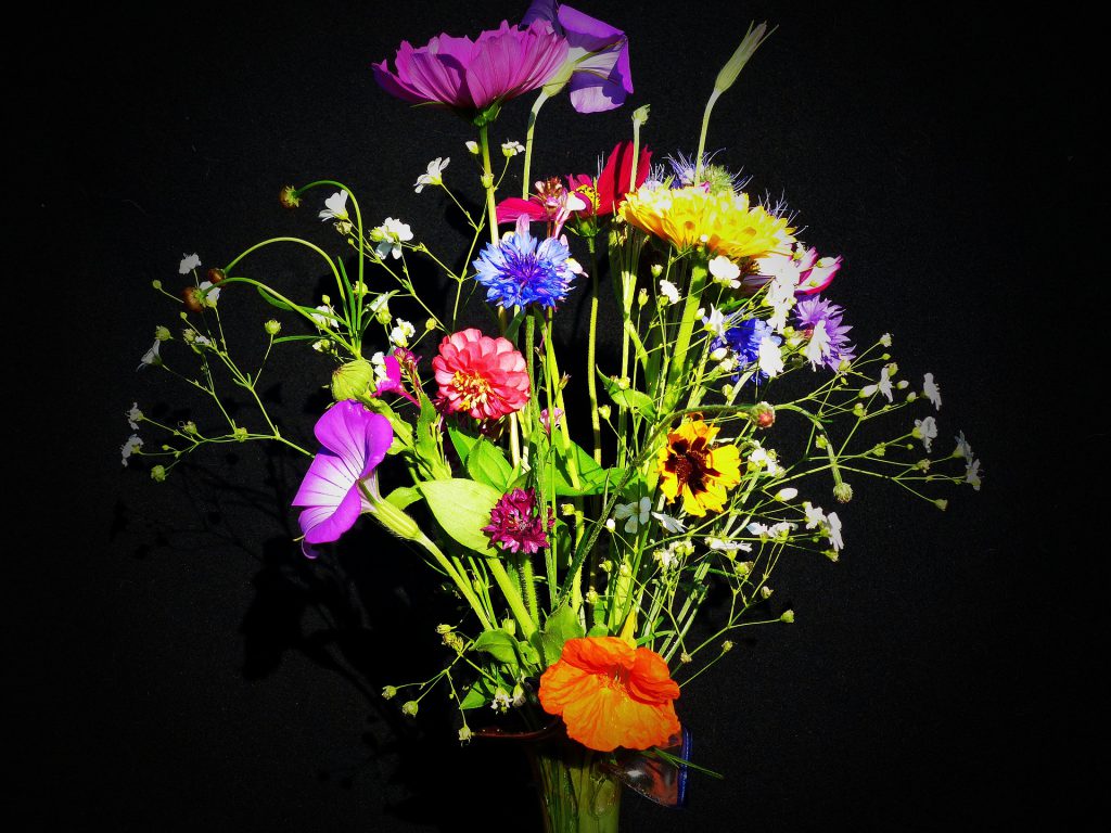 エントランス小花